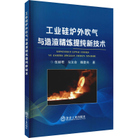 音像工业硅炉外吹气与造渣精炼提纯新技术伍继君,马文会,魏奎先