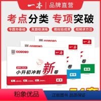 [3本]语文+数学+英语 小学升初中 [正版]小升初冲刺新卷2024名校冲刺小升初真题卷小学五六年级语文数学英语毕业真题