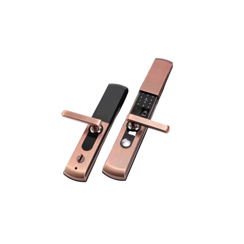 钟伯 门禁密码指纹锁 ZB-06 套