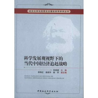 正版新书]科学发展观视野下的当代中国经济追赶战略孙来斌978751