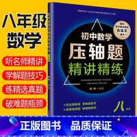 [正版]初中数学压轴题精讲精练八年级上下册数学同步知识突破训练练习题真题 全国通用 初中八年级初二数学知识大全解题技巧