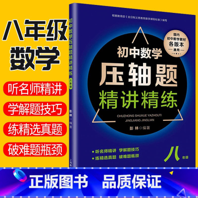 [正版]初中数学压轴题精讲精练八年级上下册数学同步知识突破训练练习题真题 全国通用 初中八年级初二数学知识大全解题技巧