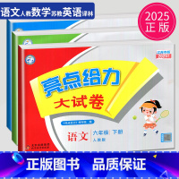 语数英3本套装 江苏专用 小学六年级 [正版]2025新版亮点给力大试卷六年级下册语文数学英语六下全套人教版RJ苏教版S