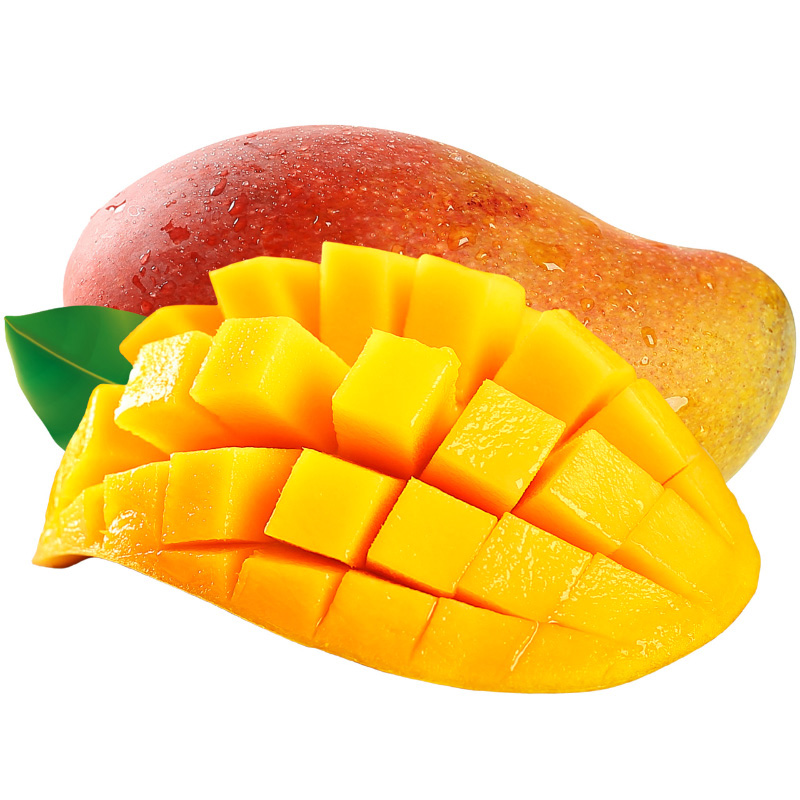 红金龙芒果