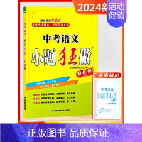 25版-小题狂做[中考语文] 初中通用 [正版]2025新版恩波38套江苏省中考13十三大市中考试卷与标准模拟卷优化语文