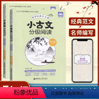 语文 [正版]小古文分级阅读五年级小学文言文阅读与训练分级读物人教版上下册2本套国学经典文言文日有所诵扫码听音频5年级必