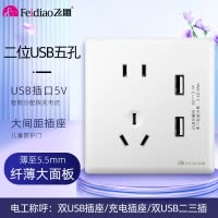 飞雕(FEIDIAO)超薄大板 开关插座格韵系列86型带开关插座面板墙壁电源插座 格韵优雅白五孔带2USB