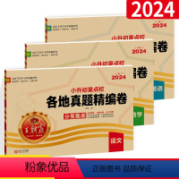 ⭐⭐[真题卷全3本]语数英 小学升初中 [正版]2024小升初重点校各地真题精编试卷语文数学英语小学毕业系统总复习题五六