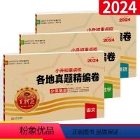⭐⭐[真题卷全3本]语数英 小学升初中 [正版]2024小升初重点校各地真题精编试卷语文数学英语小学毕业系统总复习题五六