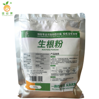 廷豪果 生根粉 中量元素水溶性肥料 500克 袋