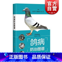 [正版]鸽病防治图谱 精装 赵宝华 养鸽参考书 50种鸽常见病 鉴别方法介绍详细 综合防治技术 图书籍 上海科学技术出版