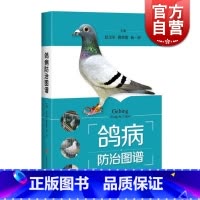 [正版]鸽病防治图谱 精装 赵宝华 养鸽参考书 50种鸽常见病 鉴别方法介绍详细 综合防治技术 图书籍 上海科学技术出版