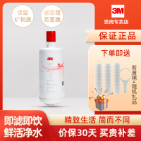 3M净水器SW29滤芯家用厨房直饮机净水机直饮水自来水过滤器净水配件SW29滤芯