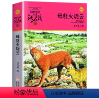 母豺火烧云 [正版]母豺火烧云升级版动物小说沈石溪品藏书系小学三四五六年级课外阅读书籍动物小说大王品藏书系生课外阅读适用