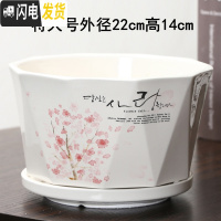 三维工匠花盆陶瓷创意个性两个大号特大号带托盘家用绿萝多肉花盆 明黄色菱红树一个特大 大花盆容器