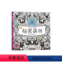 [正版]中文版涂色书系列减压手绘涂色书秘密森林 少儿童青少年成人创意涂鸦填色图书籍 韩国艺术绘画本秘密花园魔法森林奇幻