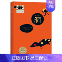 洞 [正版]洞 路易斯·萨奇尔著 徐海幈译 2024暑假百班千人6/六年级小学生课外阅读书籍儿童文学必读经典书目 南海出