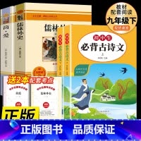 九年级下必读名著+初中古诗文 [正版]书籍 简爱和儒林外史全2册原着完整版九年级下册必读书无删减初三初中学生课外书阅读读