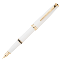 英雄(HERO)钢笔 981 学生书写 练字 多彩笔礼盒装