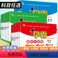 数学尖子生密卷(人教版) 六年级下 [正版]2023秋小学学霸提优大试卷一年级二年级三年级四五六上册语文数学英语人教版江