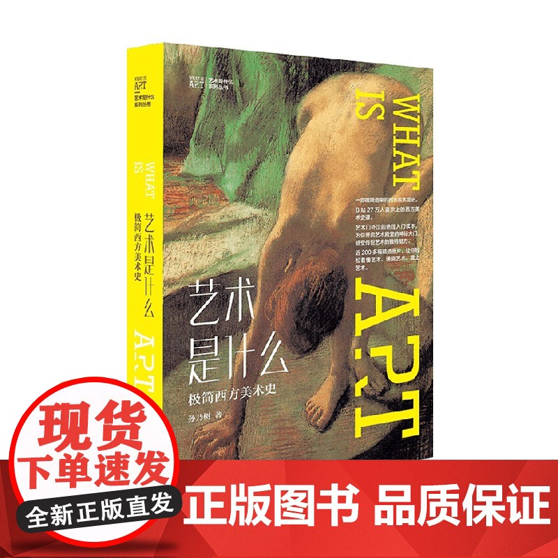 艺术是什么 极简西方美术史 孙乃树 著 艺术