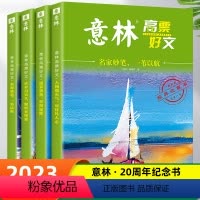 [全4册]意林高票20周年纪念版 [正版]书店意林高票好文20周年纪念书全套4册 2023初中生高中范文精选美文意林杂志