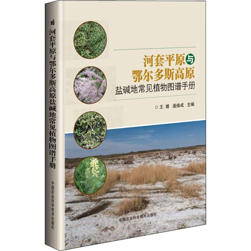 河套平原与鄂尔多斯高原盐碱地常见植物图谱手册