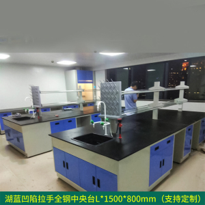 东升顺全钢实验台钢木PP边台柜试验台化验室工作台实验室桌操作台定制(每米单价)