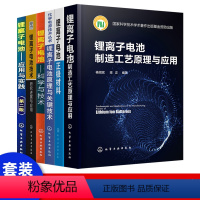 [正版]锂离子电池原理关键技术制造工艺原理应用科学技术化学工业技术研究进展应用技术丛书化学电源技术丛书应用实践原理性能