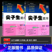 五年级上册[24秋] 三到六年级通用 [正版]2025版尖子生题库小学一二三四五六上下册自选语文数学人教北师版