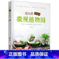 [正版]一起玩转Terrarium微观植物园 微景观鉴赏及制作苔藓盆景手工艺术绿植微景 植物百科盆景栽培书盆景种植书盆
