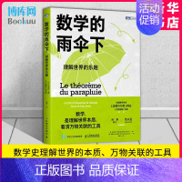 [正版]数学的雨伞下 理解世界的乐趣 培养孩子思维的科普类书籍 数学科普读物 代数 几何 数学故事书 数学思维训练 人民
