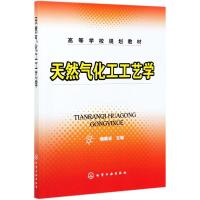 天然气化工工艺学