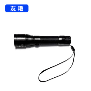 友艳LED灯YYDD-005/个
