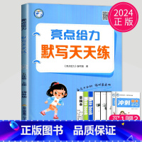 英语 五年级上 译林版 [正版]2024亮点给力计算天天练数学默写天天练语文人教版苏教版SJ译林版YL江苏二年级上册一年