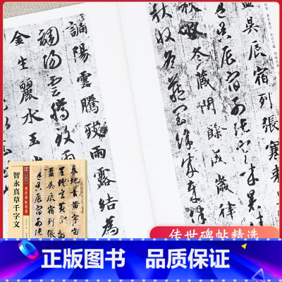 [正版]传世碑帖精选 智永真草千字文 墨点字帖 行草行书入门描红临摹毛笔字帖草书字帖练字成年男 历代碑帖拓片书法原帖