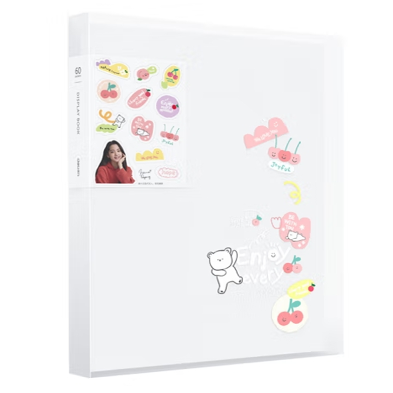 得力72628 文件夹整理袋 / 60页资料册 / 颜色随机(1个)(定制)