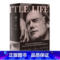 [正版]新书 理想国 渺小一生 [美] 柳原汉雅著 四个男生跨越三十年