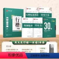 [行楷]5本 行楷一本通(赠笔) [正版]行楷字帖成人练字吴玉生行楷一本通字帖练字成年男钢笔字帖控笔训练行书字帖初学者初