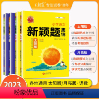 新颖题集锦[太阳版]+[月亮版]语文数学4本 小学通用 [正版]新颖题集锦月亮版知识大盘点学霸语文阅读专项训练四五升六年