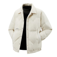 冬季男士羽绒服翻领户外工装时尚百搭潮牌上衣纯色休闲青年男外套