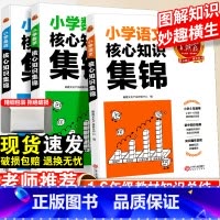 核心知识集锦[数学] 小学通用 [正版]小学核心知识集锦一二三四五六年级语文英语数学人教版小升初知识大集结大全考点学习初