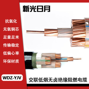 新光日月交联低烟无卤绝缘阻燃电缆WDZ-YJV 3×10mm²/米