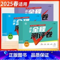 语文+数学+英语[套装3本-江苏适用] 三年级下 [正版]2025春24秋季小学全程测评卷一二三四五六年级上下册测评卷测
