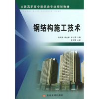 音像钢结构施工技术徐猛勇,申,田利萍 编