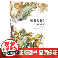 小万有通识文库·全科系列 睡着的石头会说话