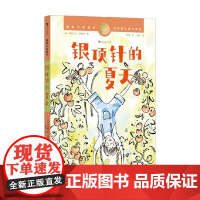 国际大奖童书 银顶针的夏天 伊丽莎白·恩赖特 著 儿童文学