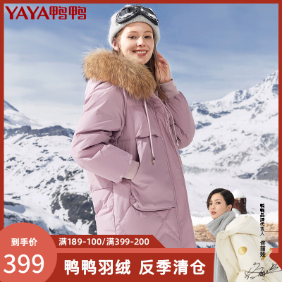 清仓价：399-鸭鸭90鸭绒可拆卸真貉子毛领女士连帽羽绒服中长款