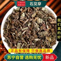 甄选石见穿100克干货新货紫参石打穿紫丹花活血草正品无硫煮水泡茶