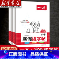 寒假练字帖 小学二年级 [正版]2024新版寒假练字帖 小学语文寒假阅读字帖 一二三四五六年级上下册练字帖语文寒假作业练